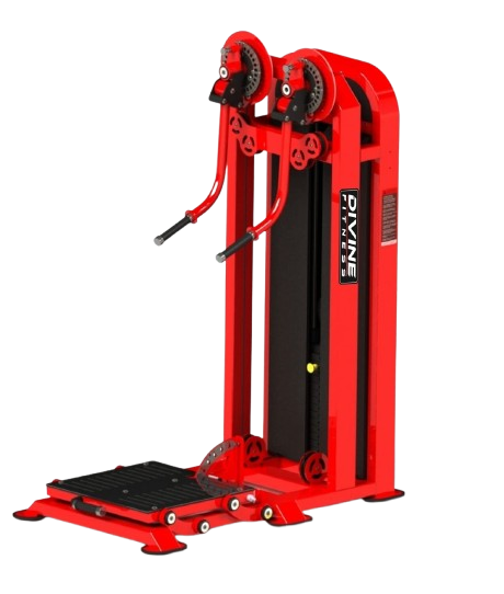 best fitness equipment distributors in Tamilnadu